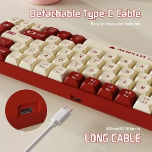 AJAZZ AK680 BROWN SWITCH 60% Mechanical Keyboard Hot-Swappable PBT Keycaps RGB Backlit Full Keys Programmable Anti-Ghosting USB-C Wired 60% - Image 4